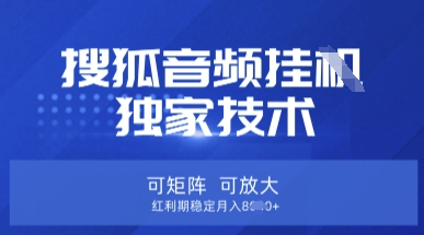 【搜狐音频挂G】独家技术，可矩阵可放大，红利期稳定月入8k【揭秘】-青年云网创—高质量项目商城